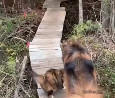 Bro wait a moment ... i heard something?