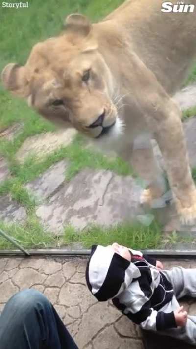 To eat a kid