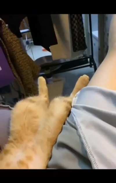 Stretchy feets,,,,Gotta get them toes splayed out..