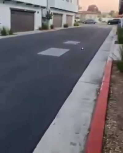 to perform a trick
