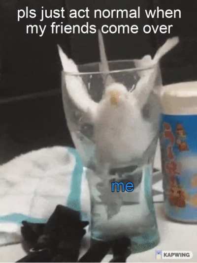 surprised pikachu face