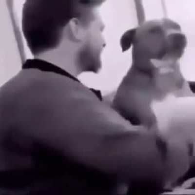 Good boi is annoyed