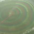 Perfect cast net throw with spherical rainbow.