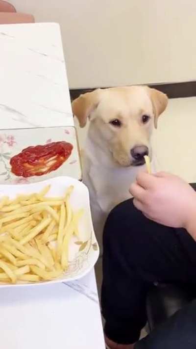 Maybe Maybe Maybe