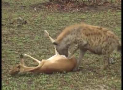 What lesson did you learn from this?