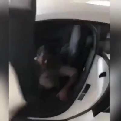 HMB while I present my lambo