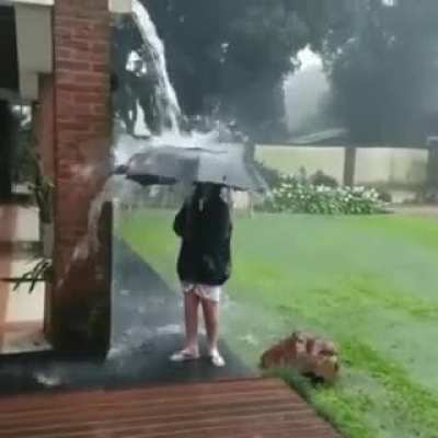 WCGW In the rain with an umbrella
