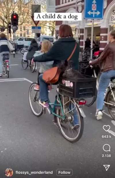 Most Dutch thing ever