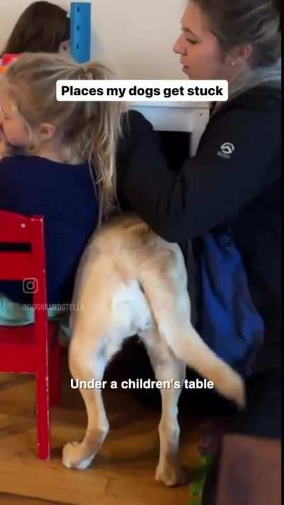 This poor animal is suffering ?