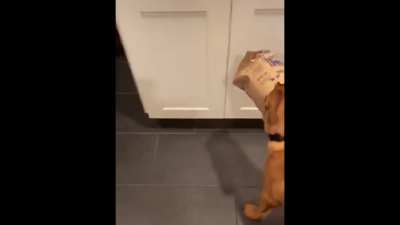 Caught red-handed sneaking a snack