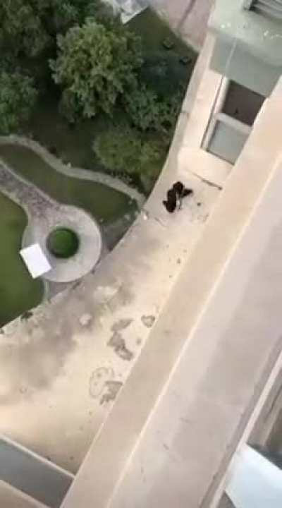 Mission Impossible ?