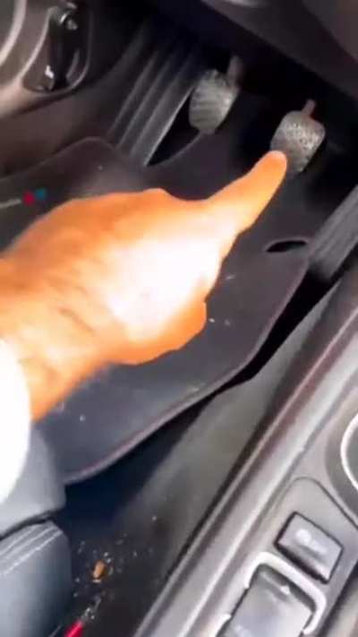 Dad taught me how to drive.