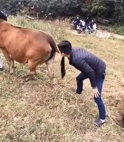 Remember "Lick the Lock" by Jackass? This guy didn't.