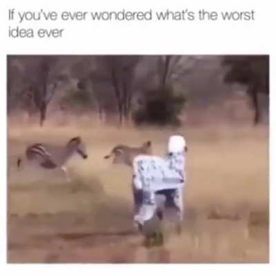 Worst idea