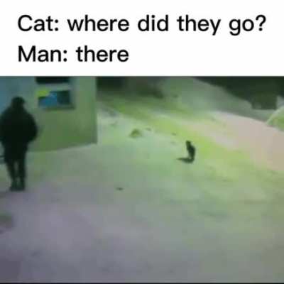 Cat?Man