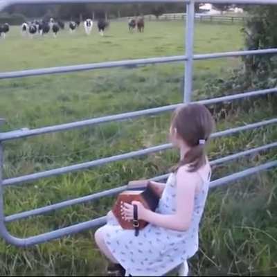 All animals love music :)