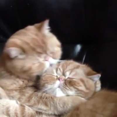 “You’re so cute, I could just eat you up!”