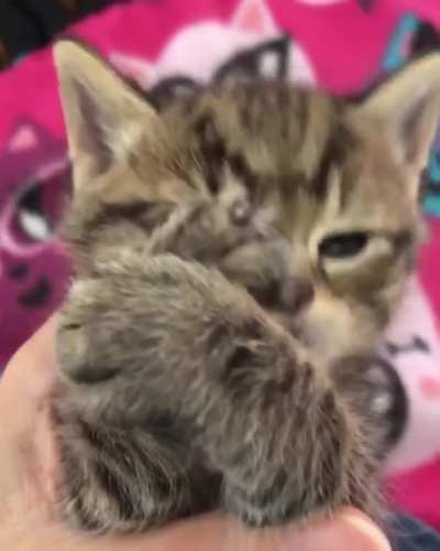 Lick, lick, lick...
