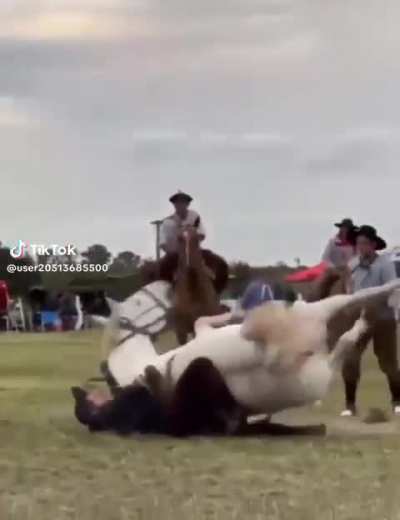 to train a horse