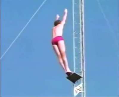 In 1983, Rick Winters achieved a world record by diving 172 feet at SeaWorld, San Diego.  Winters plunged into a shallow pool from a height greater than a 14-story building.