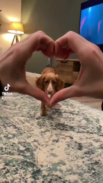 My puppy ❤️