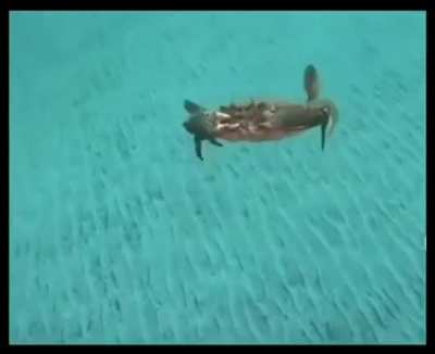 You messed with the wrong crab b*tch! I’m coming for you! Lol