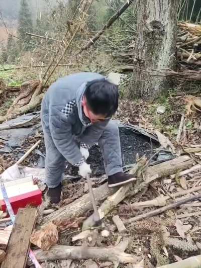 Firewood is valuable