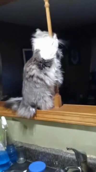 Pour some sugar on me ?