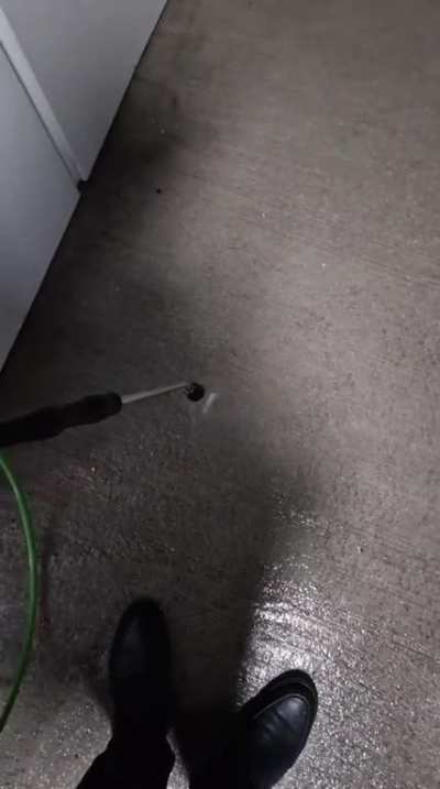 The concrete pavement at the carwash "screams" when sprayed with the power washer from a certain distance