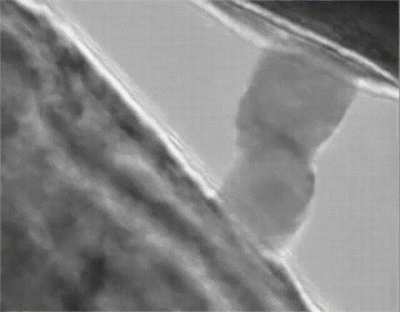 In the vacuum, two clean pieces of metal, can WELD spontaneously, just by touching each other. In solid metals, atoms naturally move a little, so without oxygen or other elements oxidizing the surfaces, atoms will "think" to be moving inside the same obje