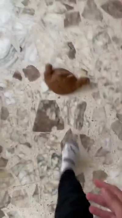 Maybe maybe maybe