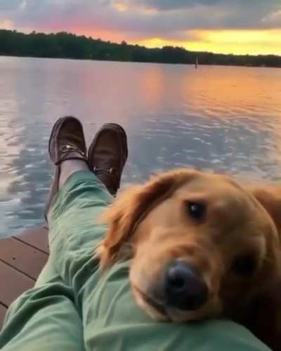 AWW ! Cant't take my eyes of you ??