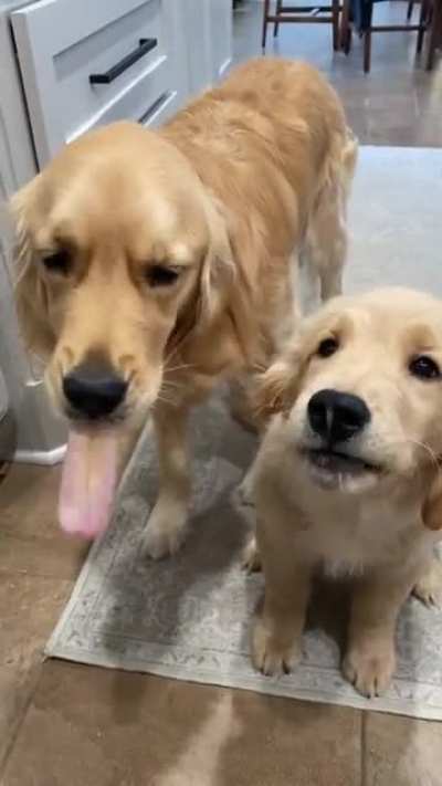 Yummy peanut butter