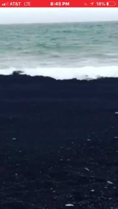 ? Water disappearing in coarse black sand in Iceland