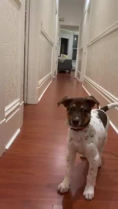 Stop Trying To Make Fetch Happen ?