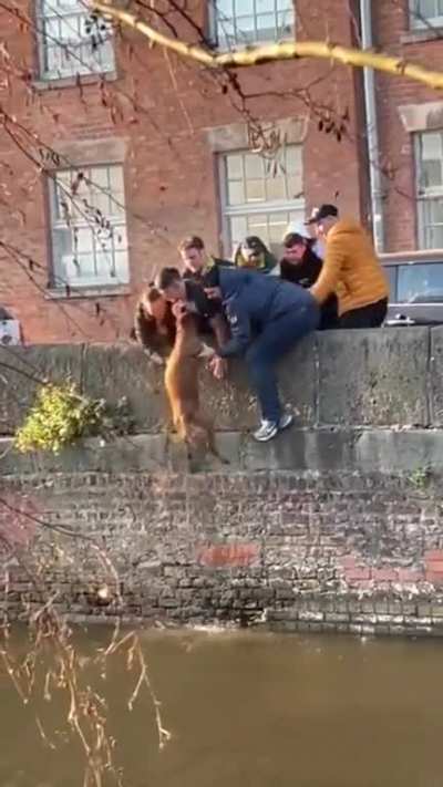 teamwork.. heroes without cape