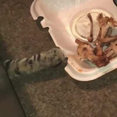 to be sneaky
