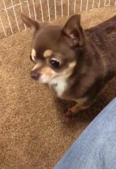 What the hell is this, Janet?