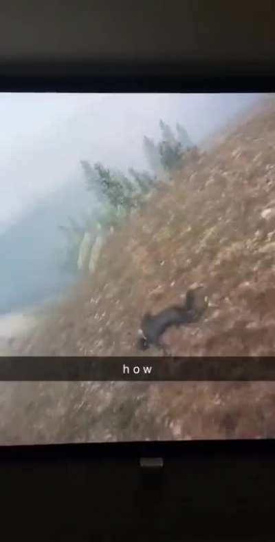 Maybe Maybe Maybe
