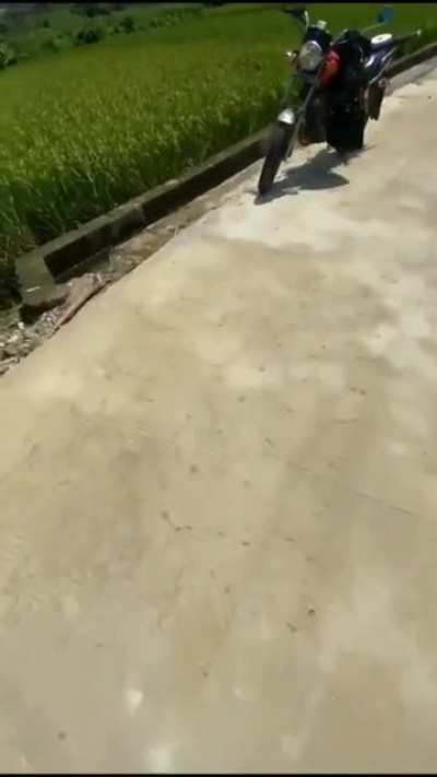 Maybe Maybe Maybe