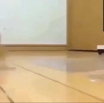 The ting goes skrrah