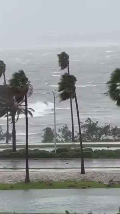 Florida Man Riding Jet Ski During Hurricane Ian from @hallylead on Twitter