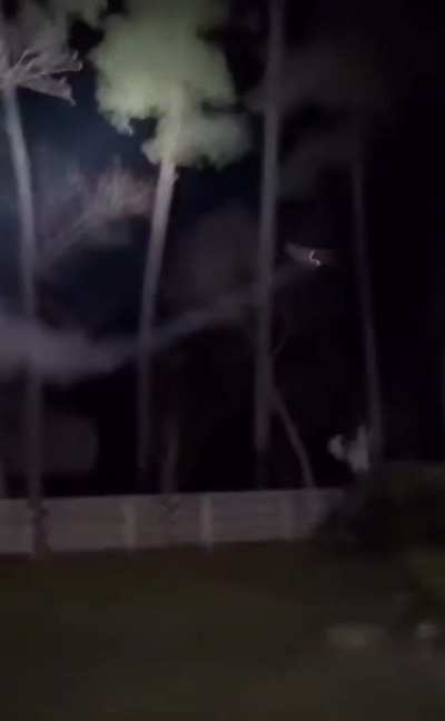 ThisLooksFun