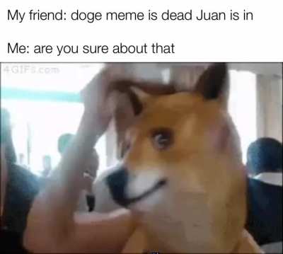Doge never dies.