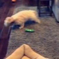 The cutest zooms