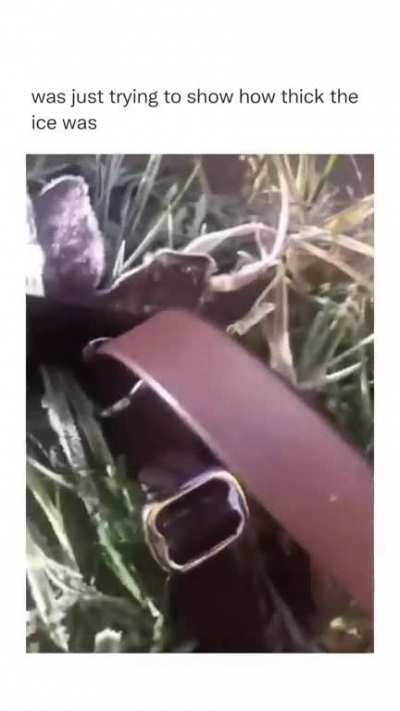 ?