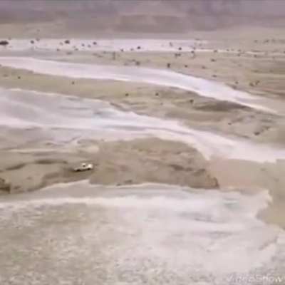 Car escaping from closing in river