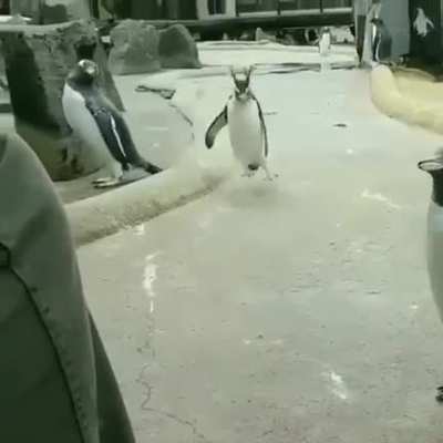 That one wild friend ????