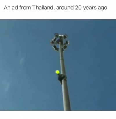 WTF