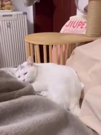 Just like that.. back to sleep ??
